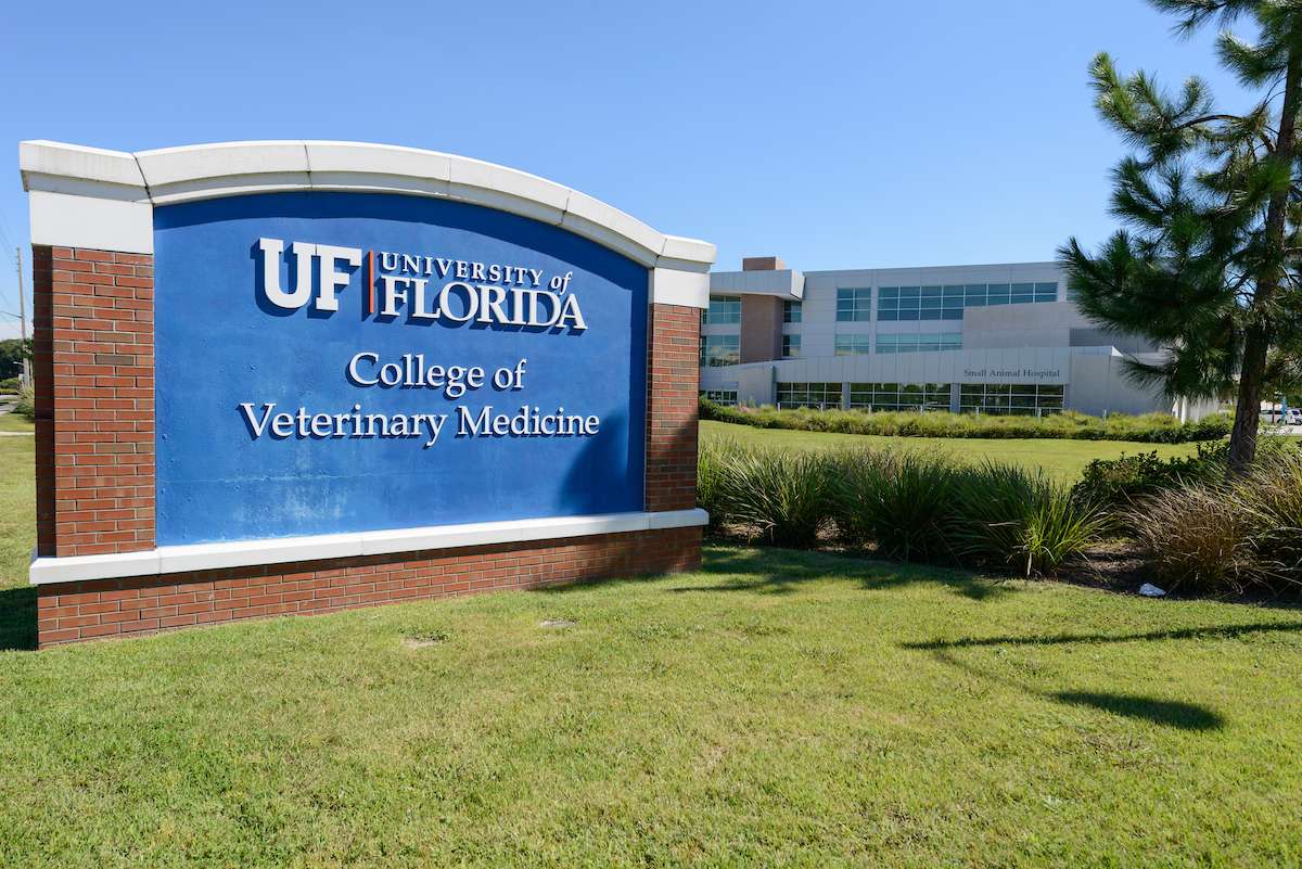 UF Veterinary Medicine Sign