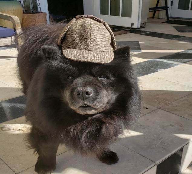 Angus McSniff - Lead Detective